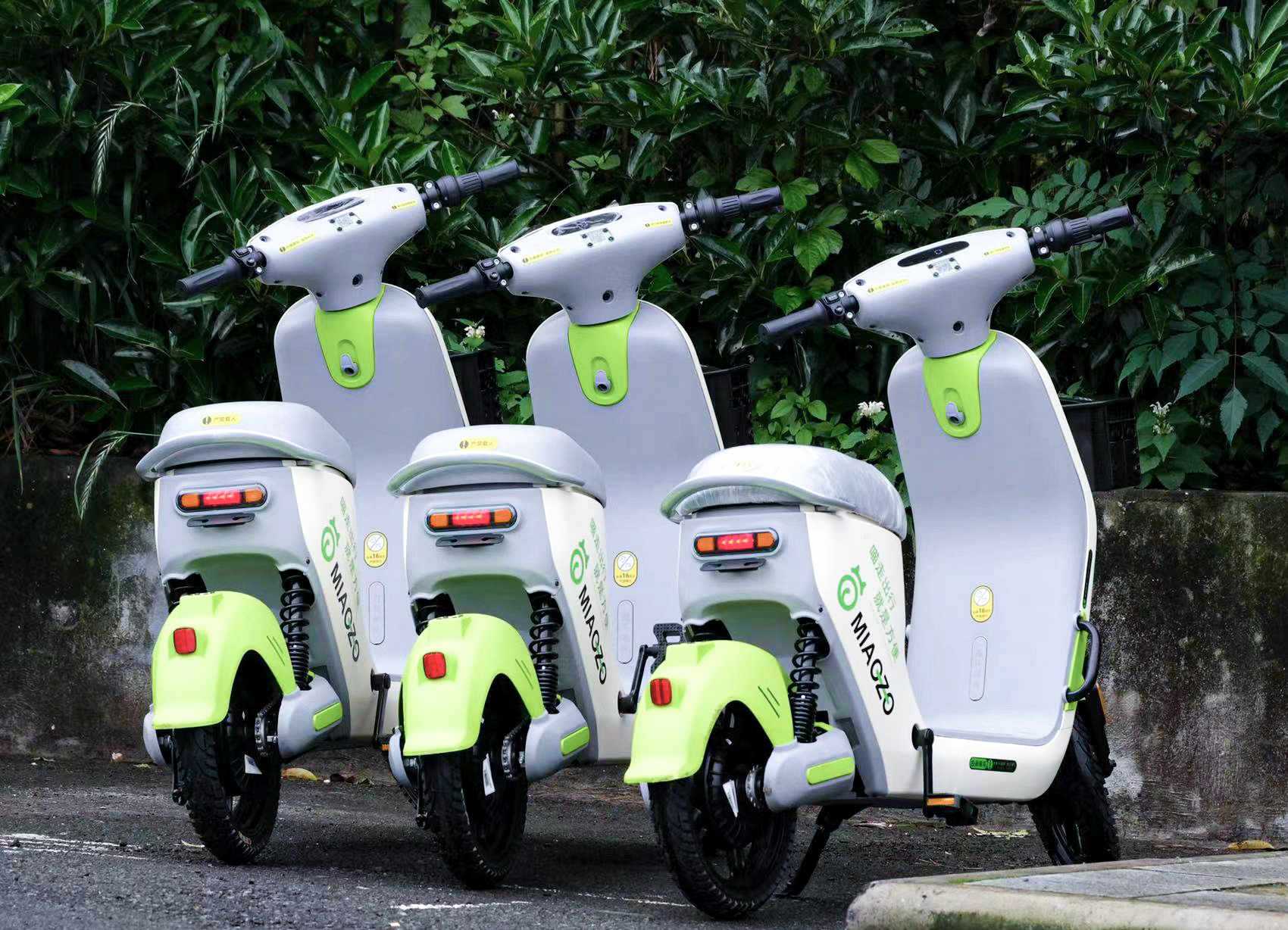 景區(qū)共享電動車投放